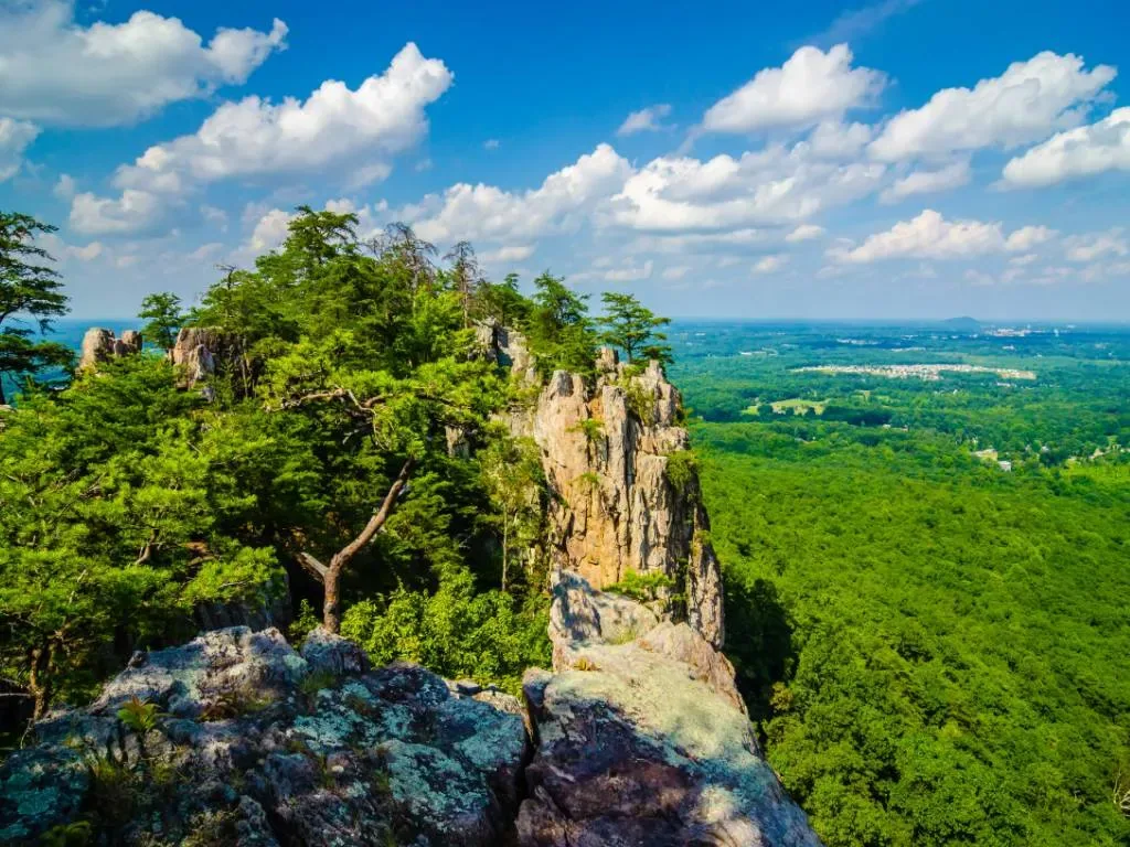 Mount Holly